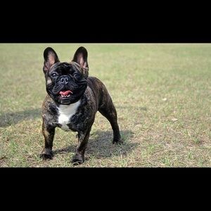 Meet your Posher, Keith